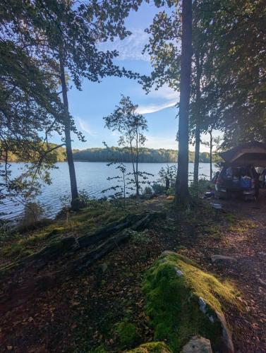 PXL_20231007_071907882
